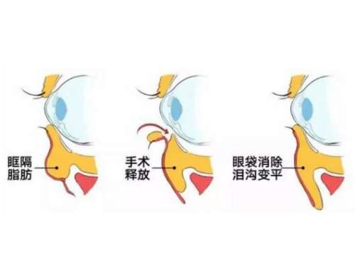 QQ截图20230824113530.jpg