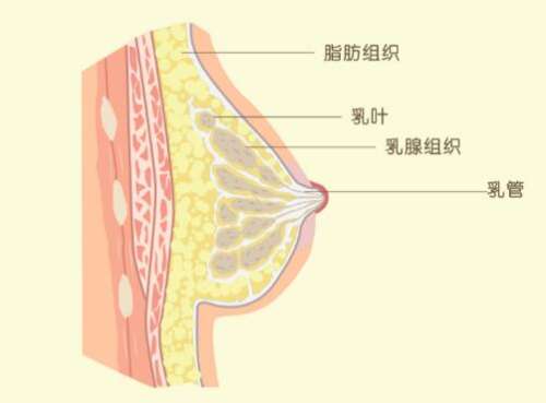 QQ截图20230825143044.jpg