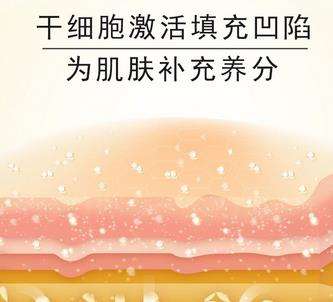 活细胞填充2.jpg