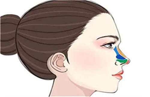隆鼻4.jpg