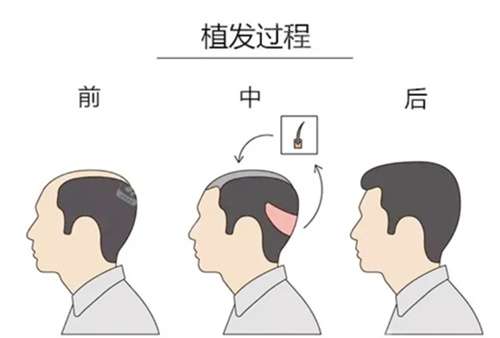 微信截图_20231114001352.jpg