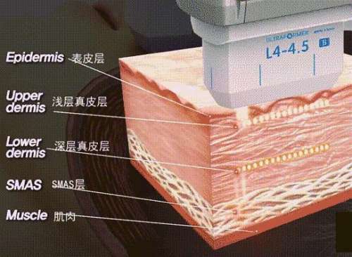 QQ截图20231121111808.jpg