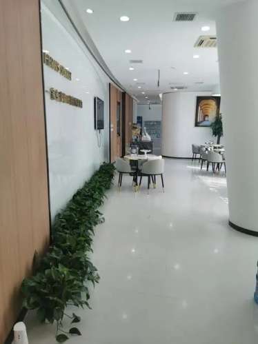 u=561178596,3704315239&fm=253&fmt=auto&app=138&f=JPEG.webp.jpg