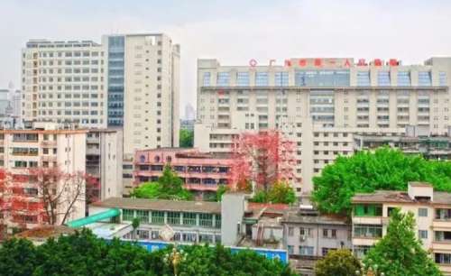 广州市第一人民医院.jpg