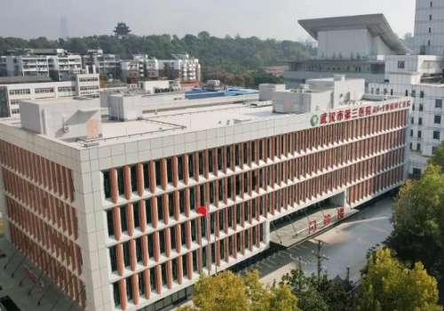 武汉市第三医院.jpg