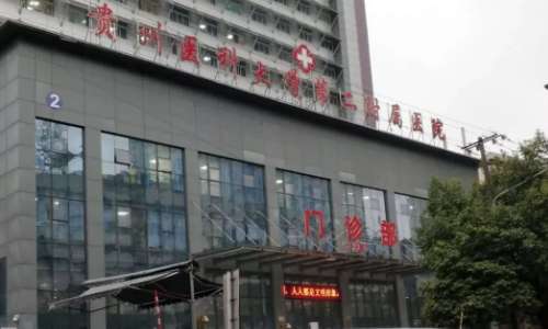 贵州医科大学第二附属医院.jpg