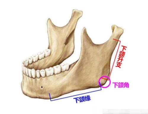 QQ截图20240206111456.jpg