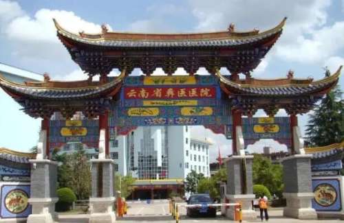 楚雄彝族自治州中医医院.jpg
