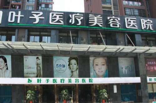 东莞叶子医疗.jpg