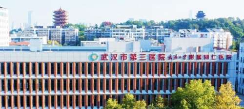 武汉市第三医院.jpg