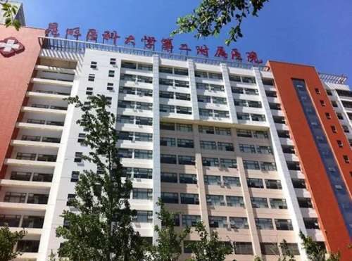 QQ截图20240308122106.jpg