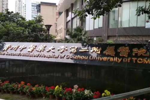 贵州中医药大学第二附属医院.jpg