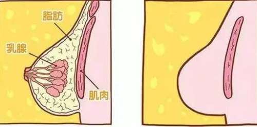 巨乳缩小动漫04.jpg