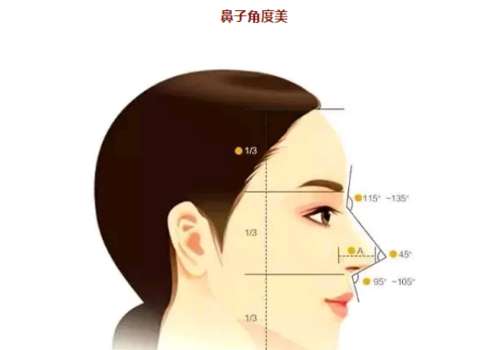 鼻子5.jpg