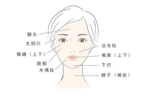 面部填充.jpg
