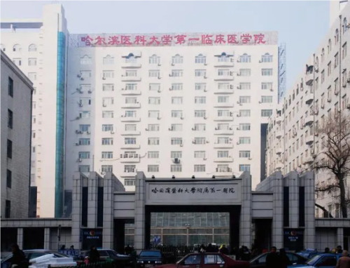 QQ20240815-121148.png
