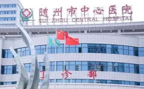 随州市中心医院.jpg