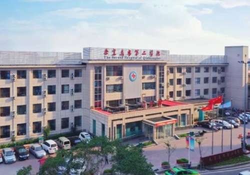 秦皇岛市第二医院.jpg