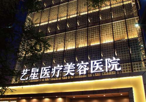 西安艺星.jpg