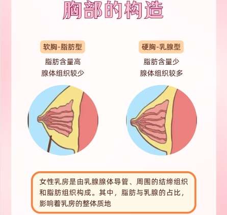 隆胸 隆胸
