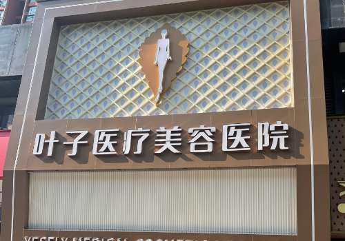 东莞叶子.jpg
