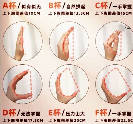 隆胸 隆胸