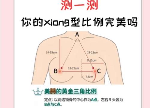 隆胸 隆胸