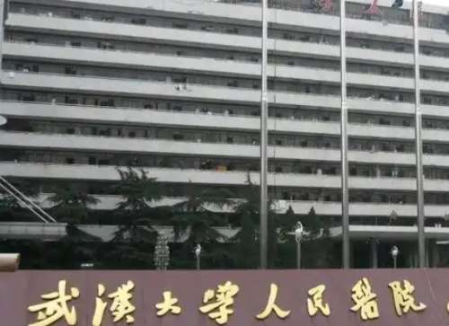 武汉大学人民医院 武汉大学人民医院