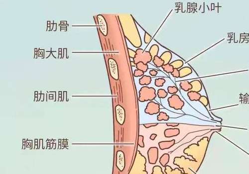 胸7.jpg