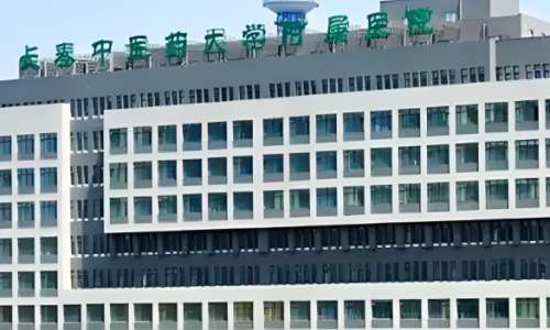 长春中医药大学附属医院 长春中医药大学附属医院