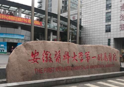 安徽医科大学第一附属医院.jpg