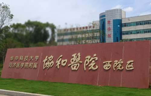 武汉协和医院.jpg 武汉协和医院.jpg