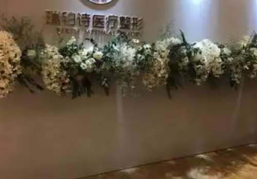 衡阳瑞铂诗.jpg