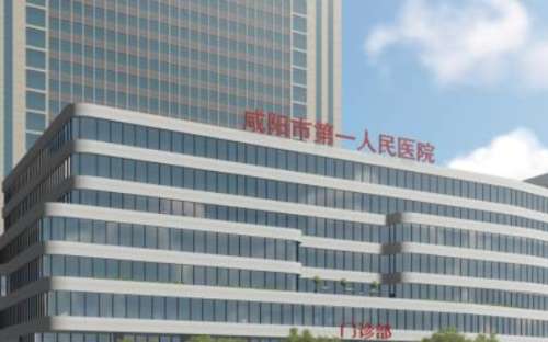 咸阳市第一人民医院 咸阳市第一人民医院