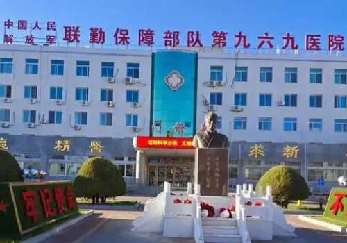 中国人民解放军联勤保障部队第九六九医院.jpg