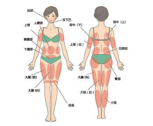 水动力吸脂减肥3.jpg