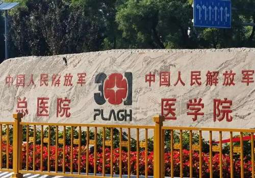北京301医院丰唇专家口碑TOP:薛紫涵、靳睿技术实力在线测评！