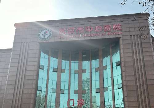 武汉市中心医院.jpg